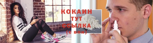 амф Шали