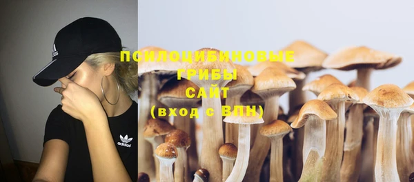 кокс Мегион