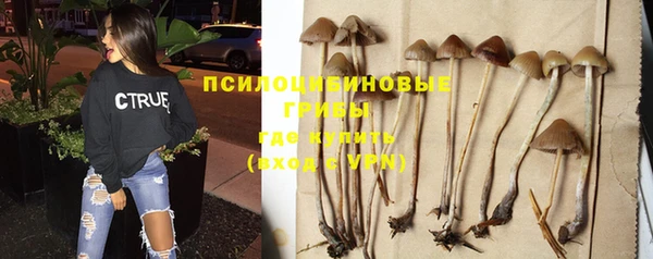 дистиллят марихуана Медногорск