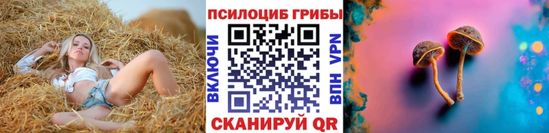blacksprut маркетплейс  Гусиноозёрск  Галлюциногенные грибы Psilocybe  цены наркотик 